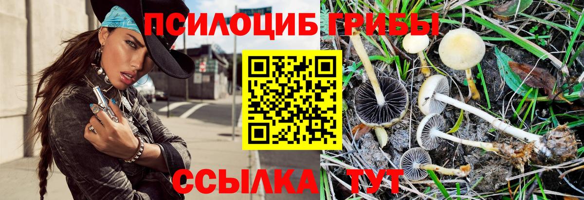 Галлюциногенные грибы мицелий Новотроицк